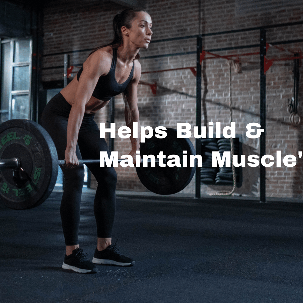 Muscle Reload Level Up Whey – Beginner-Friendly Protein Powder | 15g Protein, 3.1g BCAAs & EAAs per Serving | Easy Digesting-500g