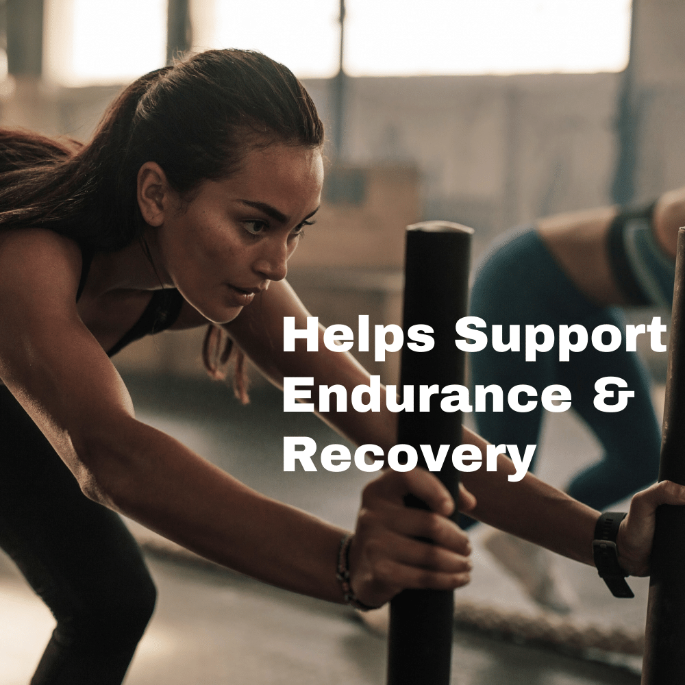 Muscle Reload Level Up Whey – Beginner-Friendly Protein Powder | 15g Protein, 3.1g BCAAs & EAAs per Serving | Easy Digesting-500g