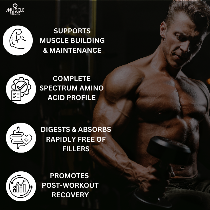MRN Extreme Whey : 25g Protein for Fast Muscle Recovery