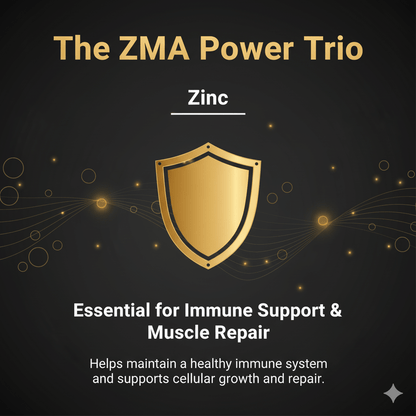 Muscle Reload ZMA graphic: Zinc. Essential for immune support and muscle repair, aiding healthy immune system and cellular growth.