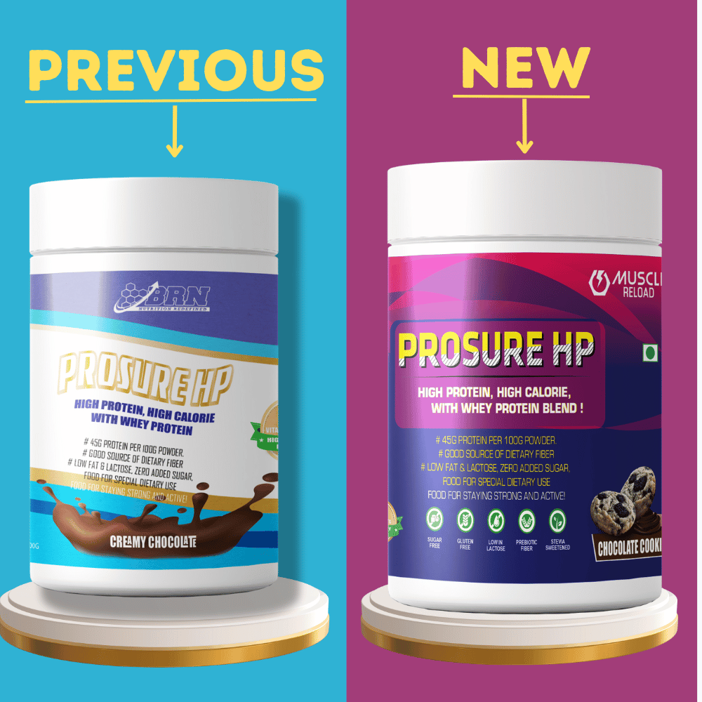 Muscle Reload Prosure HP| High Fiber & Zero Added Sugar| Protein Powder Supplement for Elders, 40+ & Old Age Men & Women For Muscles & Bone Strength |500g(1.1Lbs & 15 Serving)